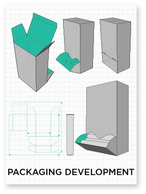 Packaging Development