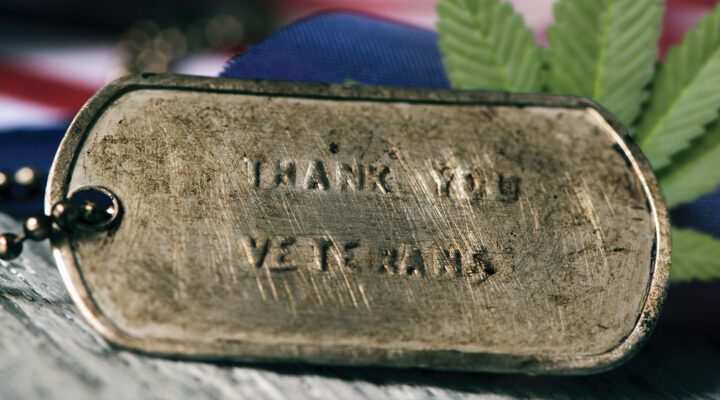 CCELL-Veterans-hhempco-litty