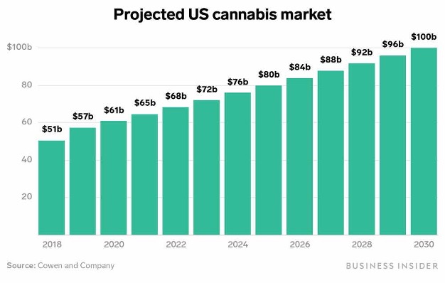 consumer-trends-us-cannabis-market
